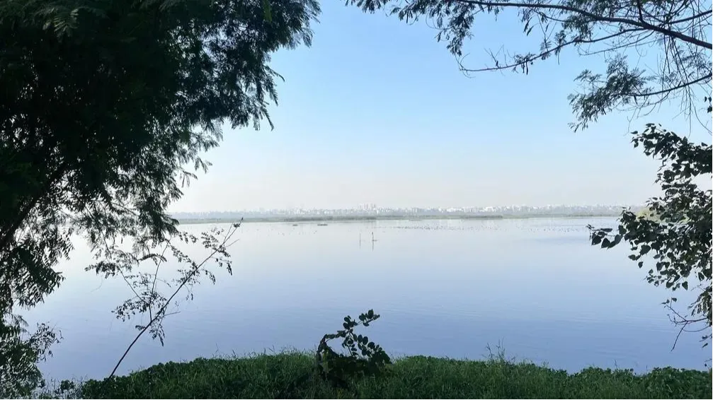 Okhla Bird Sanctuary